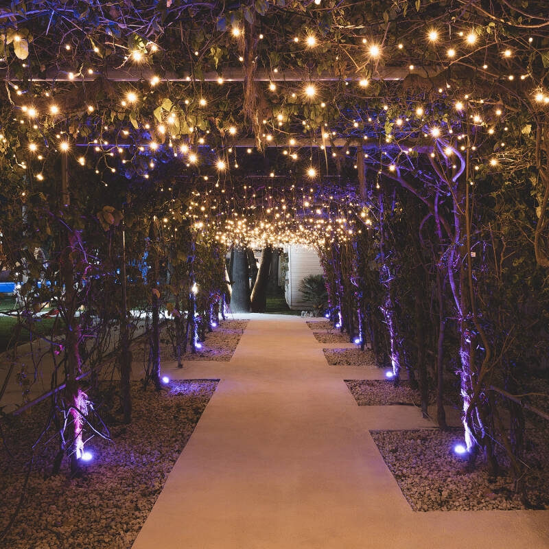 Cortina de Guirnaldas LED Regulable 2.25m