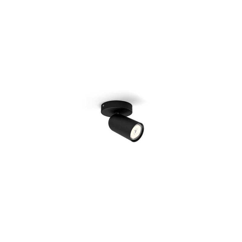 Lámpara de Techo 1 Foco PHILIPS Pongee