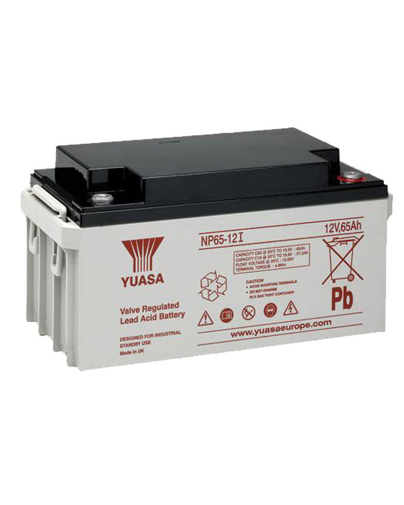 Batería Yuasa NP65-12 12V 65Ah