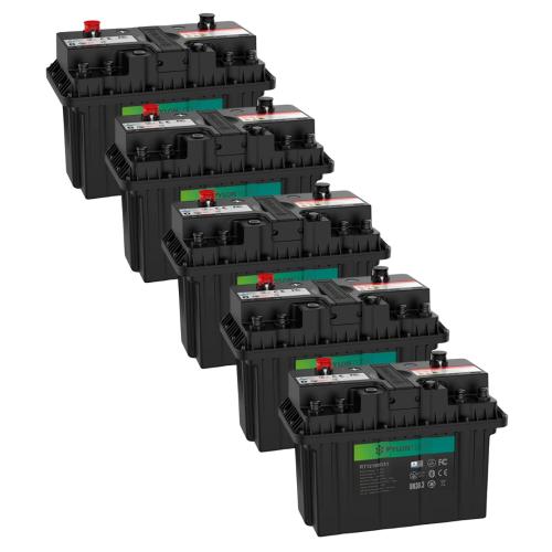 Pack 5ud Batería de Litio para Autocaravana Pylontech 12V 100Ah RT12100G31