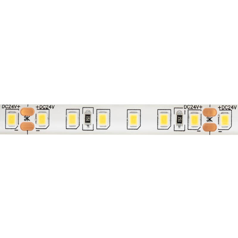 Tira LED 24V DC 120LED/m 5m IP65 Ancho 8mm Corte cada 5cm