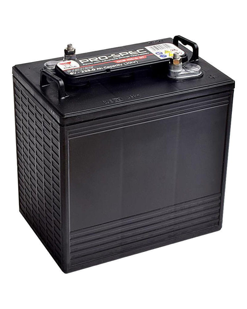 Batería Yuasa Pro Spec DCB105 6V 225Ah