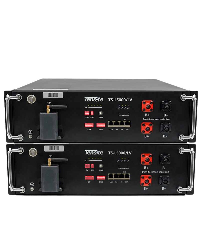 Pack 2 unidades de Baterías para Placas Solares Tensite 48V TS-L5000/LV de litio