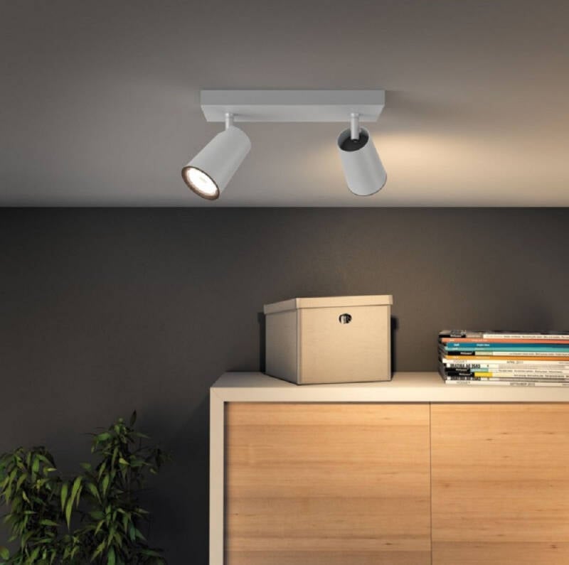 Lámpara de Techo 2 Focos PHILIPS Paisley