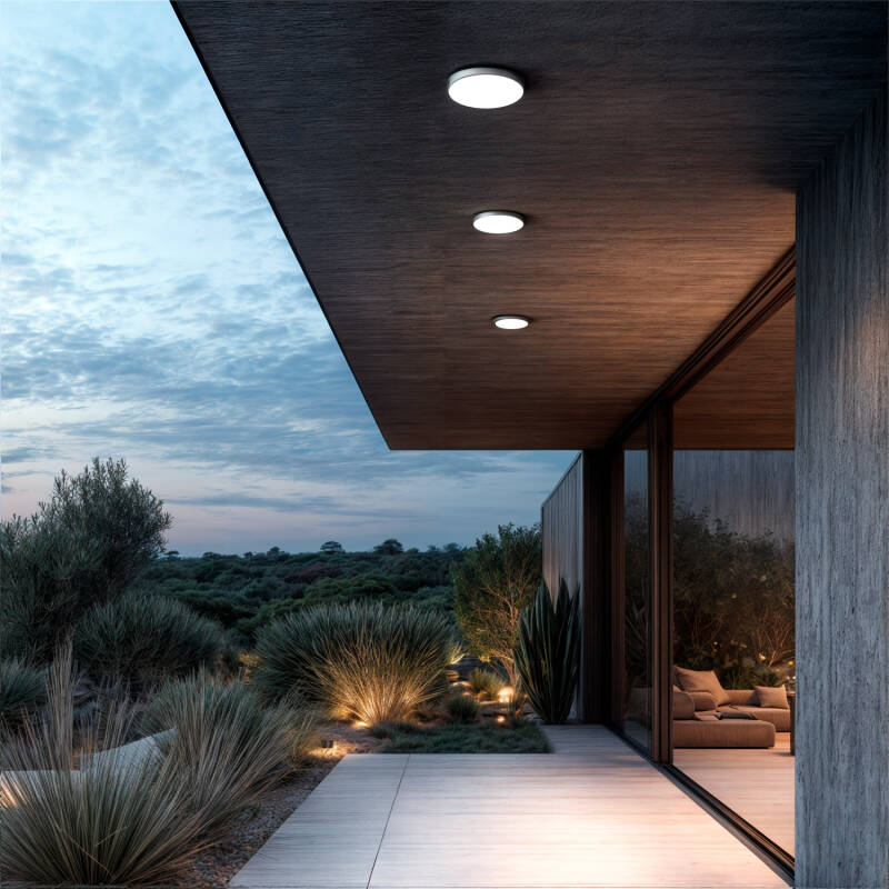 Plafón LED Exterior 24W Circular Ø220 mm Regulable