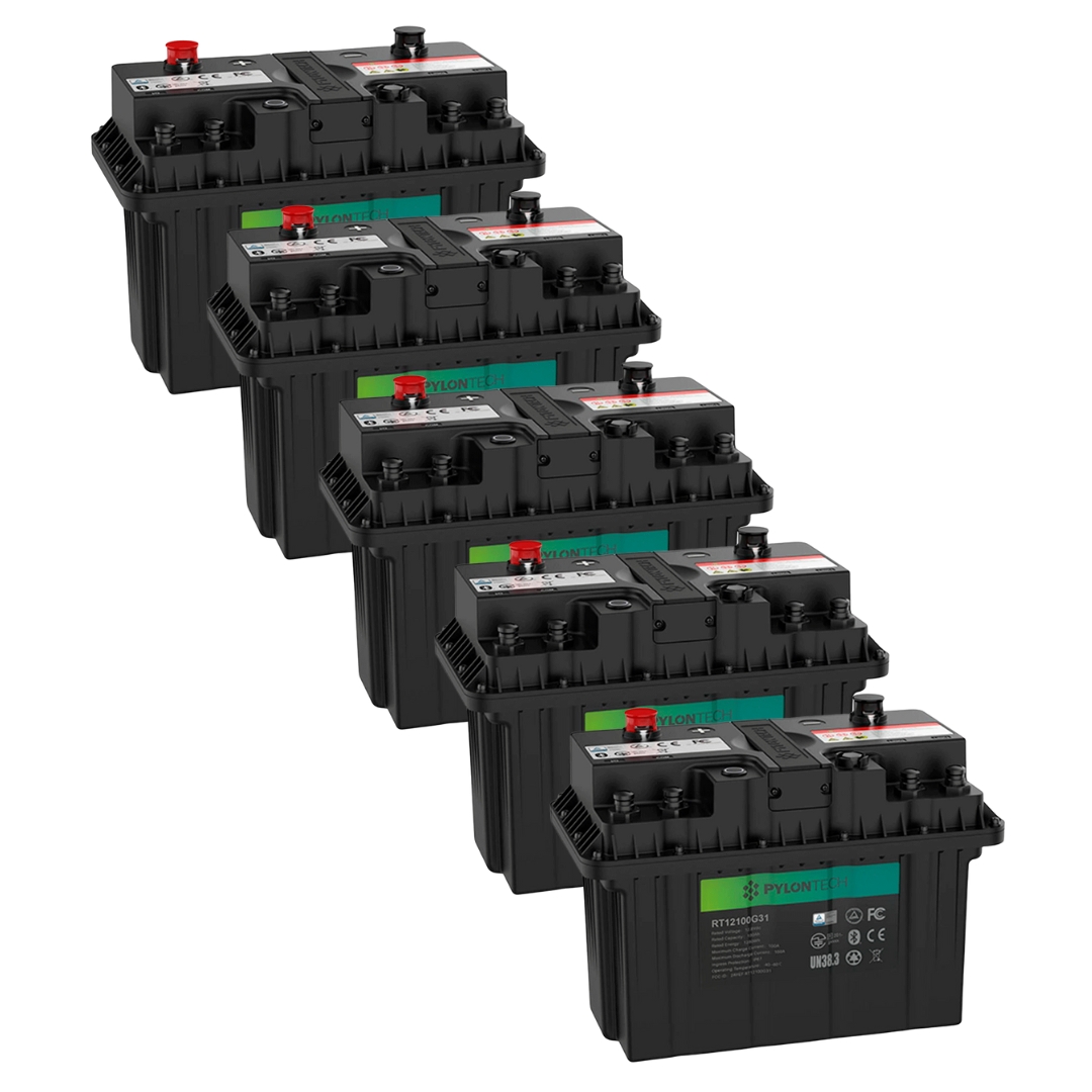 Pack 5ud Batería de Litio para Autocaravana Pylontech 12V 100Ah RT12100G31